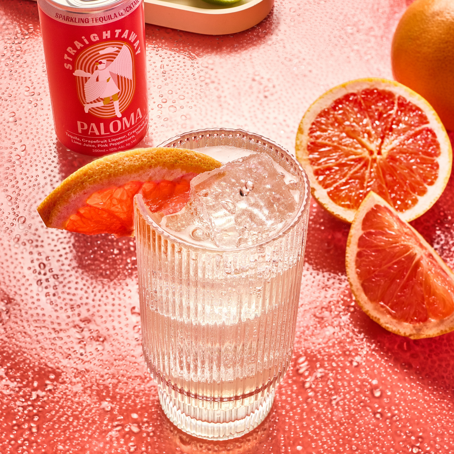 Paloma