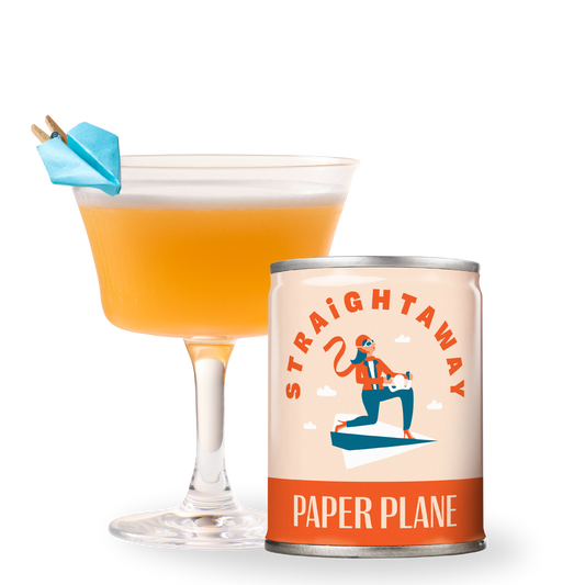 Paper Plane